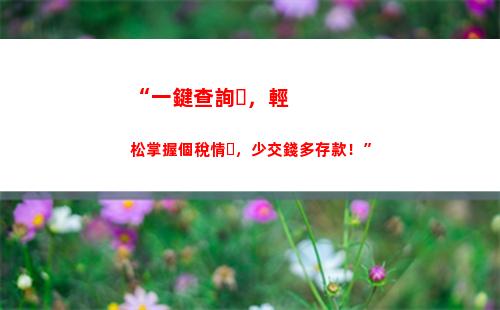 “一次申報，多份收入，輕松管理個人所得稅”